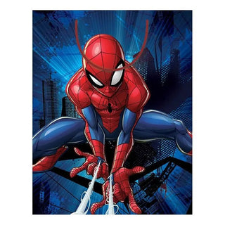 Spiderman Gift Bag | Spiderman Party Supplies NZ