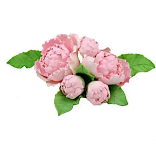 Unknown | Pink Gumpaste Peonies with Leaves - 5pkt | flower party supplies
