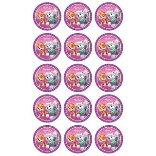 Edible Cupcake Images | Paw Patrol Girls