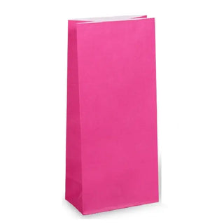 Hot Pink Paper Party Bag - Individual | Princess Party Theme & Supplies |