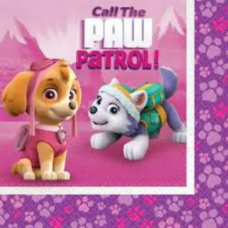 Designware | Paw Patrol Girls Napkins | Paw Patrol Party Theme & Supplies
