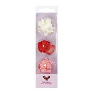 Edible Daisy Valentine Dec Ons | Floral Party Supplies