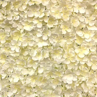 Cream Petal Flower Wall Hire | Event Hire Wellington