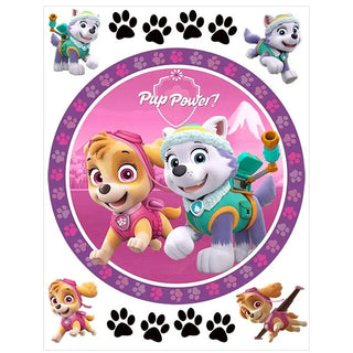 Paw Patrol Girls Edible Cake Image | Paw Patrol Party Supplies NZ