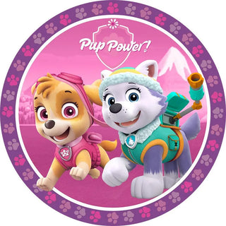 Paw Patrol Girls Edible Cake Image | Paw Patrol Party