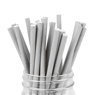 Silver Paper Straws | Silver Party Supplies