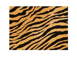 Build a Birthday | Tiger Print Edible Cake Image - A4 Size | Jungle Party Supplies NZ
